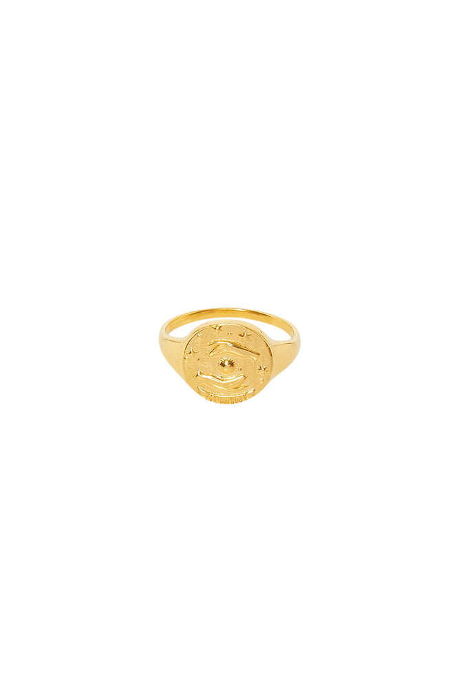 Gemini Stargazer Zodiac Ring